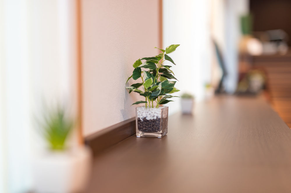 Simple Stay Kanon Nanba Minami Osaka Buitenkant foto